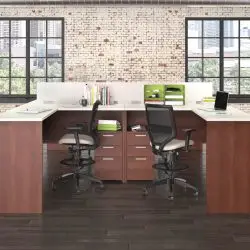 Resource Data Systems, Northbrook, IL