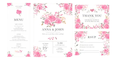 Resource Data Systems, Northbrook, IL