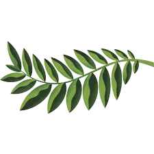 Native Woodlands, PrintReleaf, Resource Data Systems